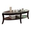 Rich Espresso Finish 1pc Cocktail Table with Glass Inserted Top Curve Legs Lower Display Shelf Stylish Living Room Furniture Coffee Table